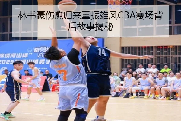 林书豪伤愈归来重振雄风CBA赛场背后故事揭秘