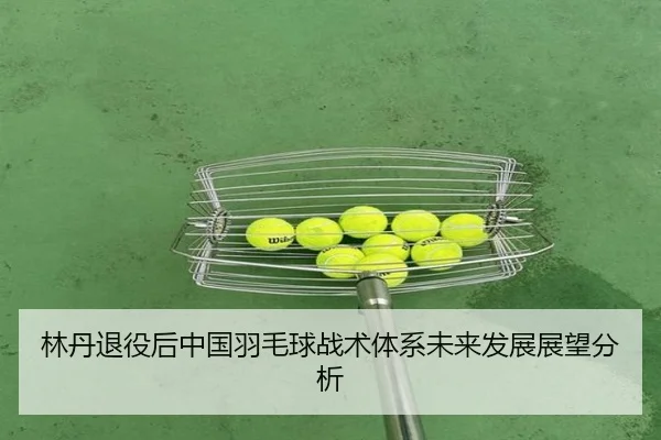 林丹退役后中国羽毛球战术体系未来发展展望分析