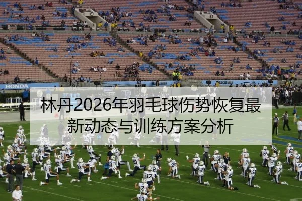 林丹2026年羽毛球伤势恢复最新动态与训练方案分析